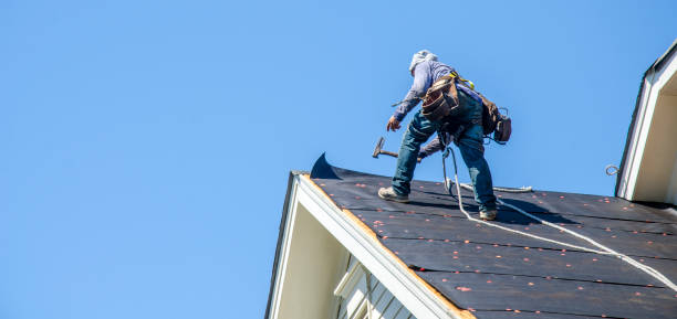 Best Roof Gutter Cleaning  in Marysville, PA